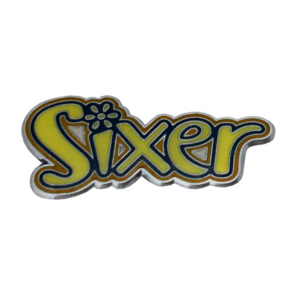 Brownie leadership metal badge - sixer